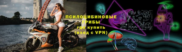 сатива Алзамай