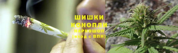 сатива Алзамай